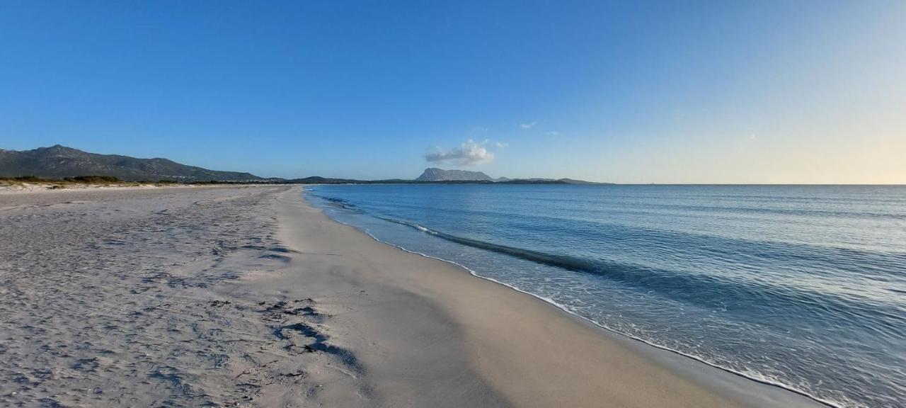 Appartamento Brigida Bilocale 2 Posti Vicino Al Centro San Teodoro  Buitenkant foto